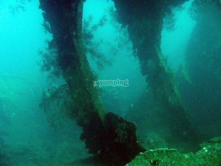 /tb_buceo en bali5.jpg